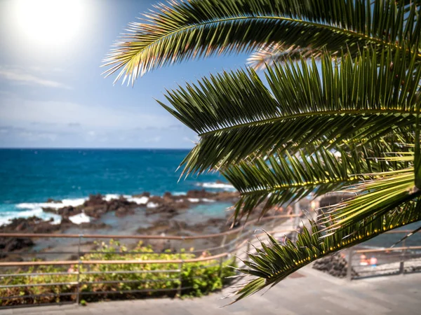 Closeup image of palm tree leaves and ocean lagoon at bright sunny day — Stock Photo, Image