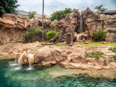 Hayvanat bahçesindeki aslanlar ve kaplanlar için şelaleli kuşların güzel bir görüntüsü.