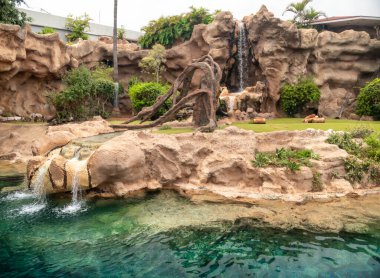 Hayvanat bahçesindeki yırtıcılar için şelaleli ve göletli boş kuş görüntüsü