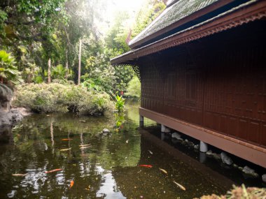 Sazan balıklarıyla dolu güzel bir gölet ve tahta ayaklıklarda geleneksel Asyalı ahşap ev.
