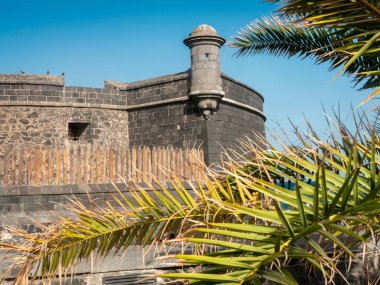 Okyanustaki tropikal adada, eski taş kaledeki palmiye yapraklarının arasından hayal et.