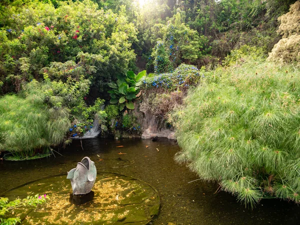 Asya bahçesindeki sazan balığı ve çeşme ile küçük bir göletin güzel görüntüsü. — Stok fotoğraf