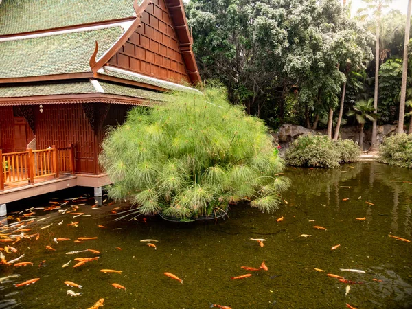 庭で鯉魚が池に泳ぐ伝統的な木造タイの家の美しいイメージ — ストック写真