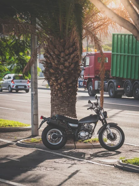 Тонированное изображение черного мотоцикла, припаркованного на дороге рядом с красивой пальмой на закате — стоковое фото