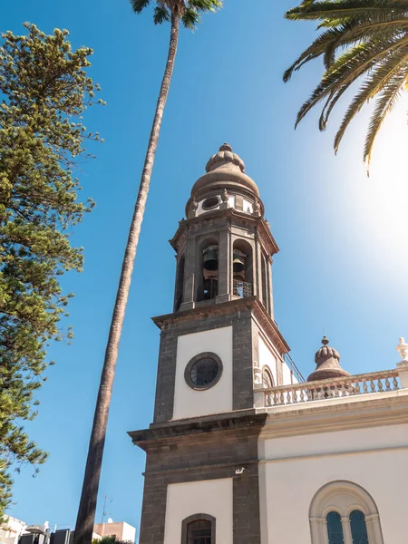 Mooi beeld van hoge stenen katholieke kerk klokkentoren tegen blauwe lucht en palmbomen — Stockfoto