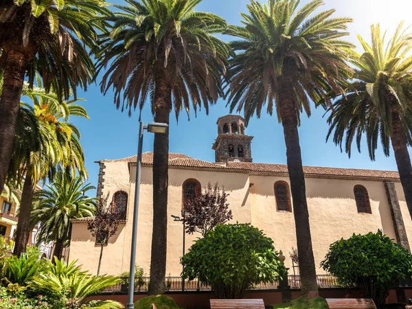 Hermosa imagen de catedral católica en estilo aritectura colonial y altas palmeras en Tenerife —  Fotos de Stock