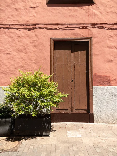 Изображение старого входа в здание с деревянной дверью и декоративным растением в горшке — стоковое фото