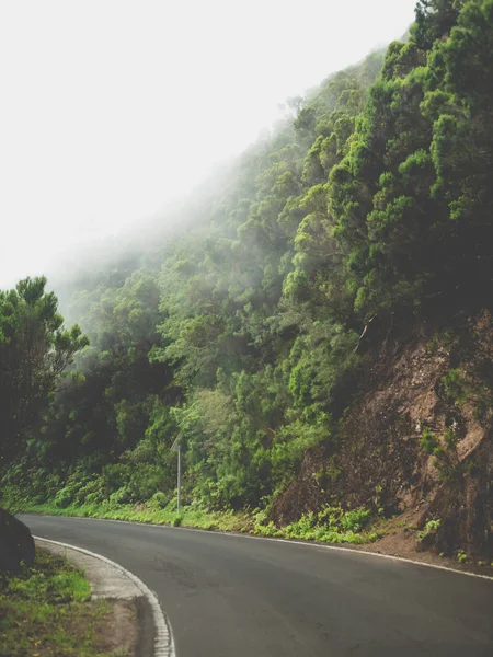 Toned image of mountain road going through clouds or dense fog — Stock Photo, Image