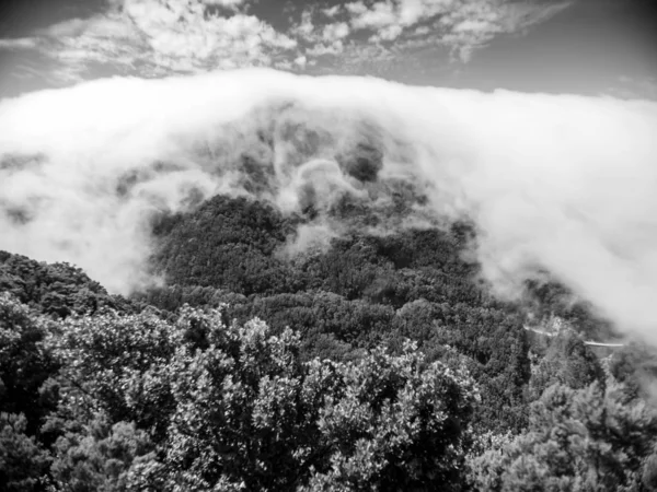 Imagen en blanco y negro de nubes flotando y cubriendo selva en la cima de la montaña — Foto de Stock