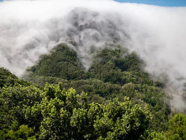 Landsacpe van prachtige bergtop en wolken die naar beneden zweven op het bos — Stockfoto