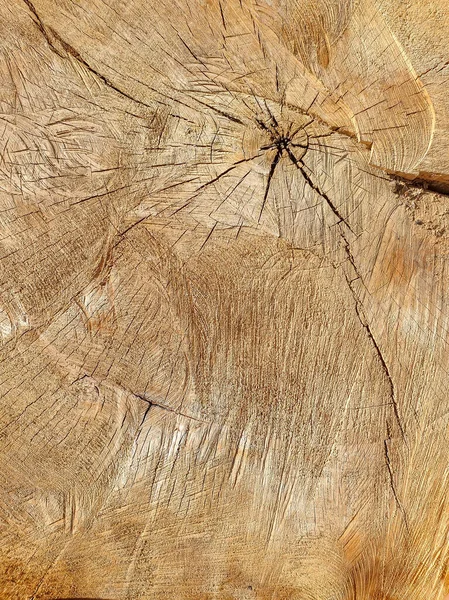 Eski meşe ağacının kesiğindeki çatlak ve göçüklerin makro dokusu — Stok fotoğraf