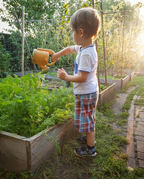 Schattig 3 jaar oud peuter jongen water geven tuin van plastic kan — Stockfoto