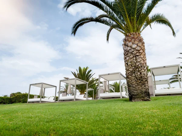 Изображение курорта с деревянным шезлонгом с навесом под пальмами на океанском пляже — стоковое фото