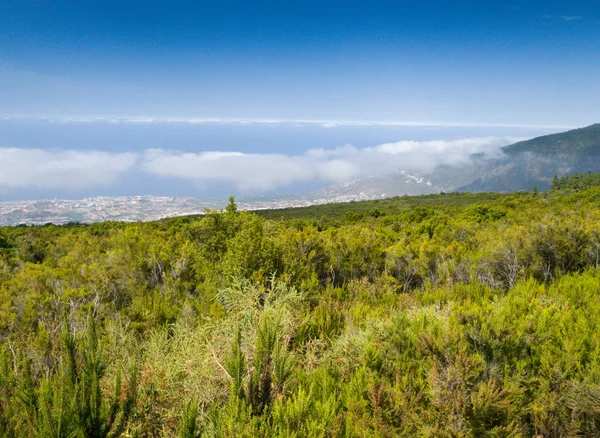 Beautiful view over the tree tops on high mountains and seaside towns — Stock Photo, Image