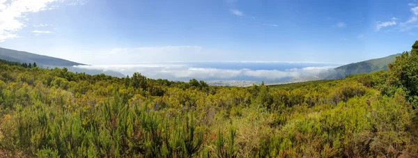 Красивая панорамная фотография леса на склоне горы и маленького городка на берегу океана — стоковое фото