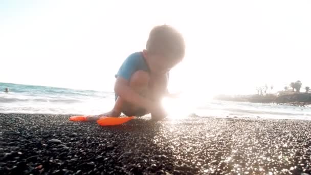 4k video of little 3 years old boy collecting stones and seasheels on sea beach on beautiful sunset — Stock Video