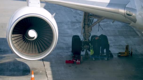 Vídeo 4k de dois mecânicos que retomam o avião antes do voo. Manutenção de aeronaves em terra no aeroporto — Vídeo de Stock