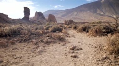 4k video of walking on rocky path between high cliffs, dry grass and bushes and looking on high mountain. Landscape of volcano Teide, Tenerife
