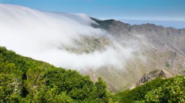 4k landscape of clouds flying between and lower than high mountain peaks overgrown with trees and forests. Perfect background or backdrop for travel or tourism video