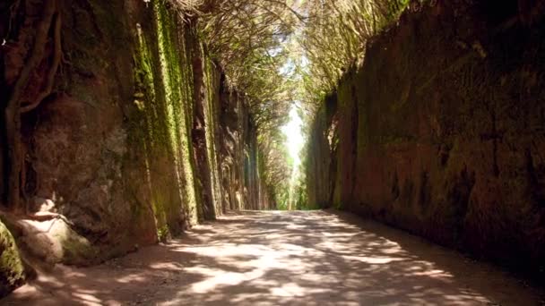 4k video di macchina fotografica che vola tra alte scogliere o montagne facendo tunnel o vicolo — Video Stock