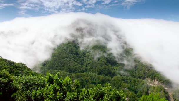 4k video de nubes que vuelan y fluyen desde el pico de alta montaña cubierto de bosque selvático. Fondo o telón de fondo perfecto para viajar o video turístico — Vídeos de Stock