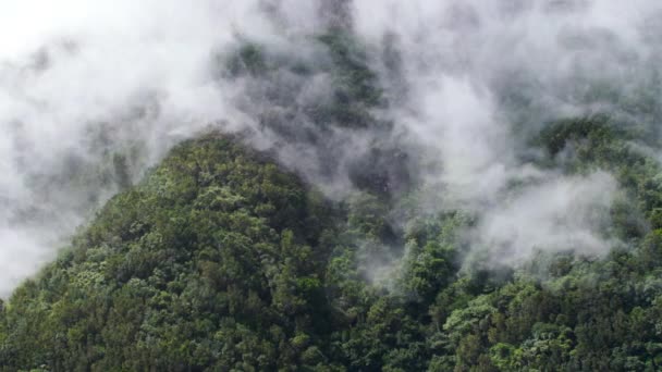 4k beautiful video of clouds flowing and flying from mountain peaks on rainforest in valley. Perfect background or backdrop for travel or tourism video — Stock video