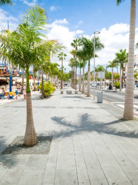 Las Amerika, Tenerife, İspanya şehir merkezindeki ara sokakta yetişen palmiye ağaçlarının güzel bir görüntüsü.