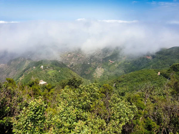 Hermoso paisaje de nubes volando sobre árboles y picos de alta montaña — Foto de Stock