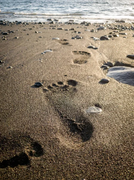 Macro photo of footprint on the wet sand going in ocean — Stock Photo, Image