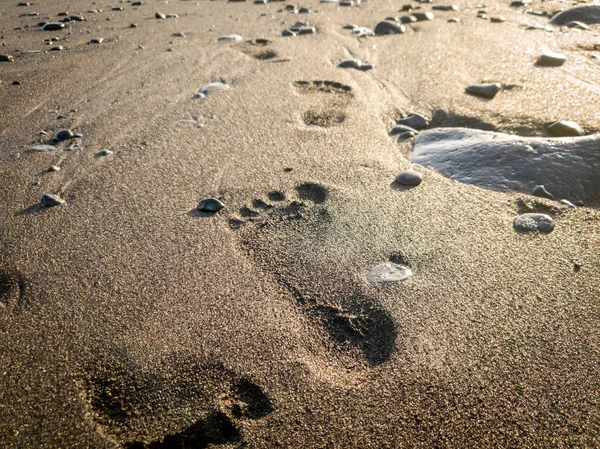 Closeup photo of footprints on the wet volcanic sand at ocean shore — Stock Photo, Image