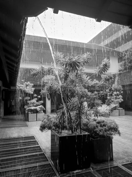 Imagen en blanco y negro de corrientes de agua y gotas de lluvia cayendo desde el techo de madera de la casa en estilo asiático — Foto de Stock