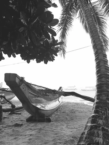 Imagem preto e branco da canoa indiana trdaitional para pescar sob a palmeira alta na praia — Fotografia de Stock