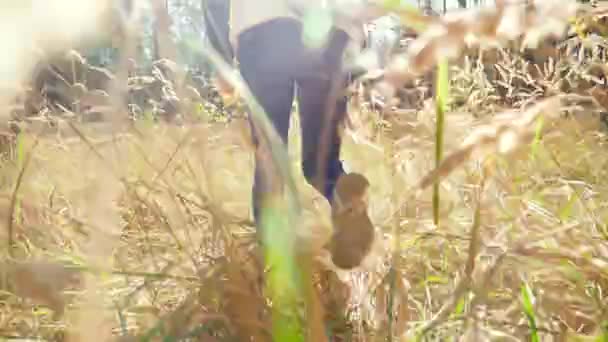 Closeup 4k video from low point on young woman walking through high grass on meadow at forest — 비디오