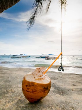 Hindistan cevizinin yakın plan görüntüsü, palmiye ağaçları ve okyanus dalgalarına karşı saman içerken.