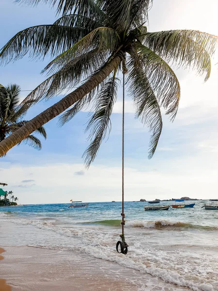 Hermosa foto de palma tropical en la playa del océano con cuerda de siwnging — Foto de Stock