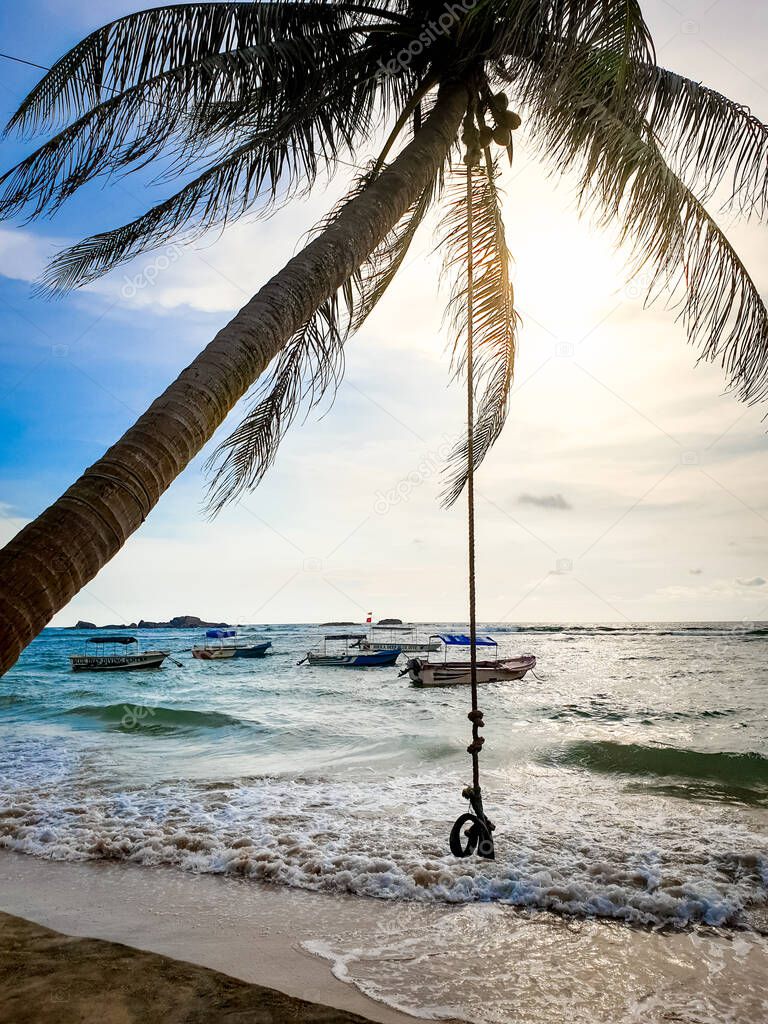 Beautiful image of bungee swinging on the palm tree bending over the ocean waves