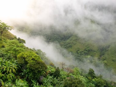 Sri Lanka 'daki tropik orman ormanlarında uçan güzel yağmur bulutları manzarası