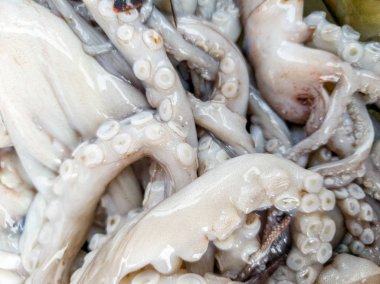 Çiğ ahtapot dokunaçlarının iğrenç makro fotoğrafı.