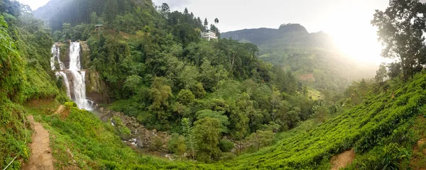 Hermosa foto panorámica de la plantación de té y cascada en la ladera de la montaña en el bosque tropical — Foto de Stock