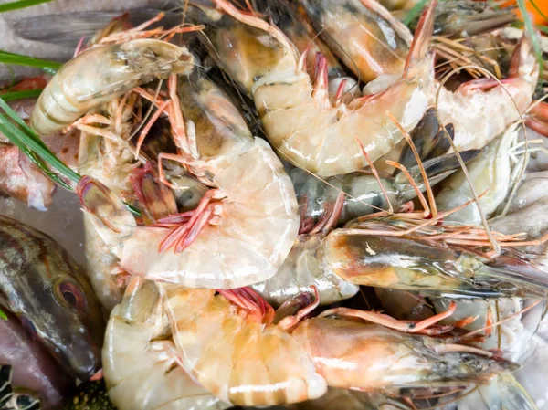 Крупный план свежей сырой креветки на столе в ресторане морепродуктов — стоковое фото