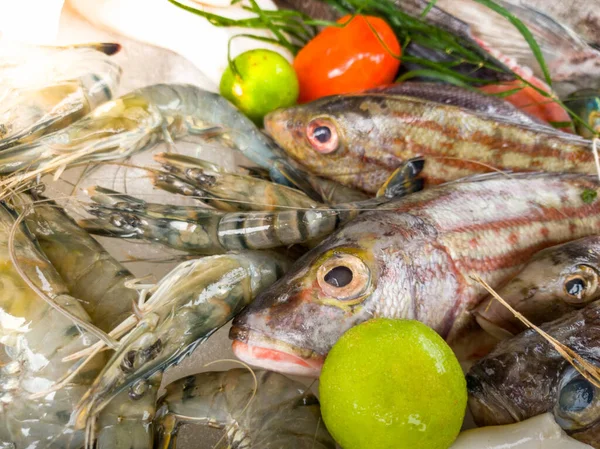 Closeup image of fresh raw seafood lying on the counter at restaurant — Stock Photo, Image