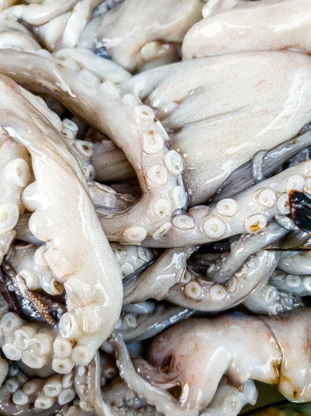 Macro immagine di ventose su viscidi e bagnati tentacoli polpo — Foto Stock