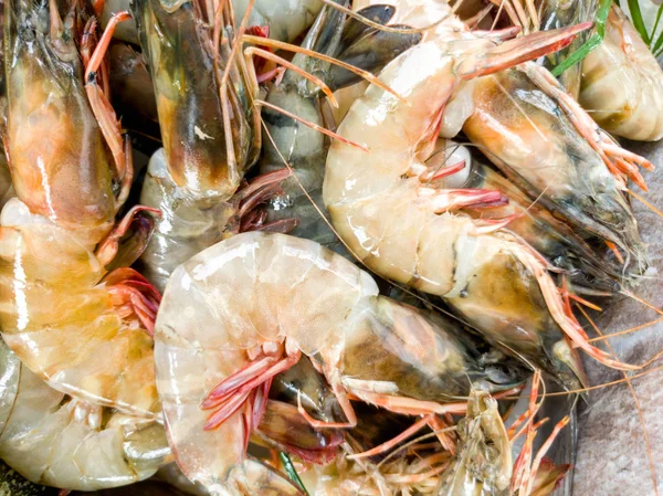 Closeup image of ocean jumbo prawns on the counter at seafood restaurant — Stock Photo, Image