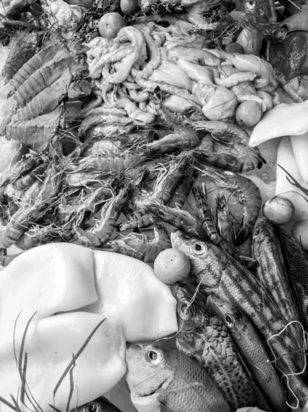 Immagine in bianco e nero di grande assortimento di frutti di mare freschi al ristorante — Foto Stock