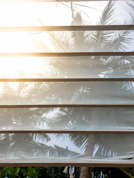 Abstract beeld door canopy weefsel op zonsondergang hemel en palmbomen — Stockfoto