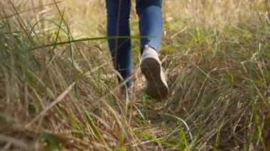 4k video from low point of view of young woman in snekers walking on path through high tall grass on meadow