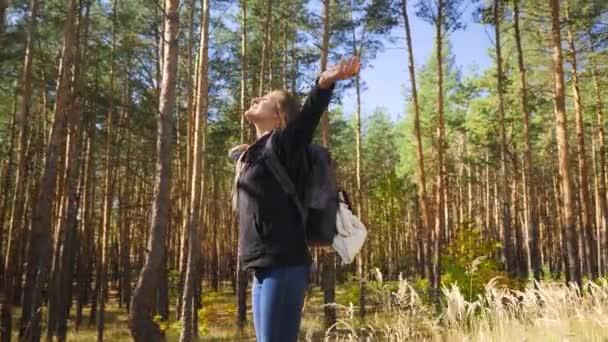 Vídeo 4k de mulher sorridente feliz esticando as mãos e desfrutando de um dia ensolarado na floresta enquanto caminha e viaja — Vídeo de Stock