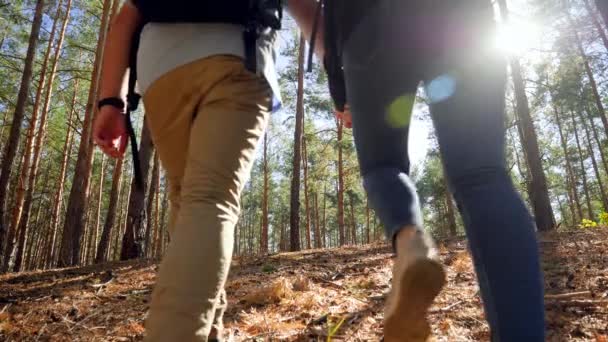 4k video of young couple holding hands and walking up the hill while hiking in the forest on bright sunny day — Αρχείο Βίντεο