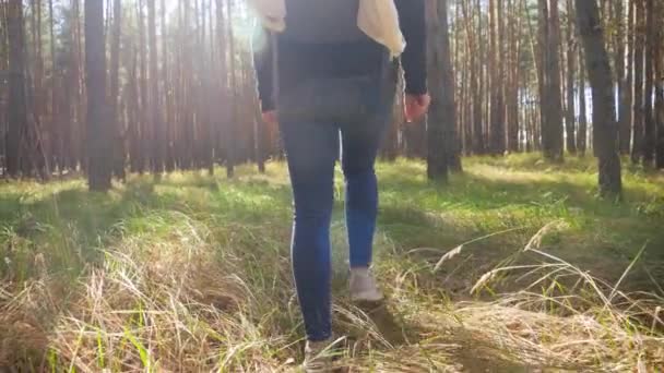 4k video of young woman with backpack walking in forest and stepping over tall grass on meadow — ストック動画