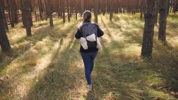 Aerial 4k video of camera flying behind young woman hiker walking and hiking in the forest at bright sunny day — Stock videók